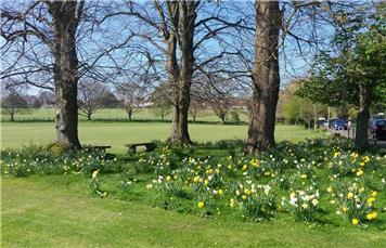Discover Community Orchards on Tuesday 15th July 2025
